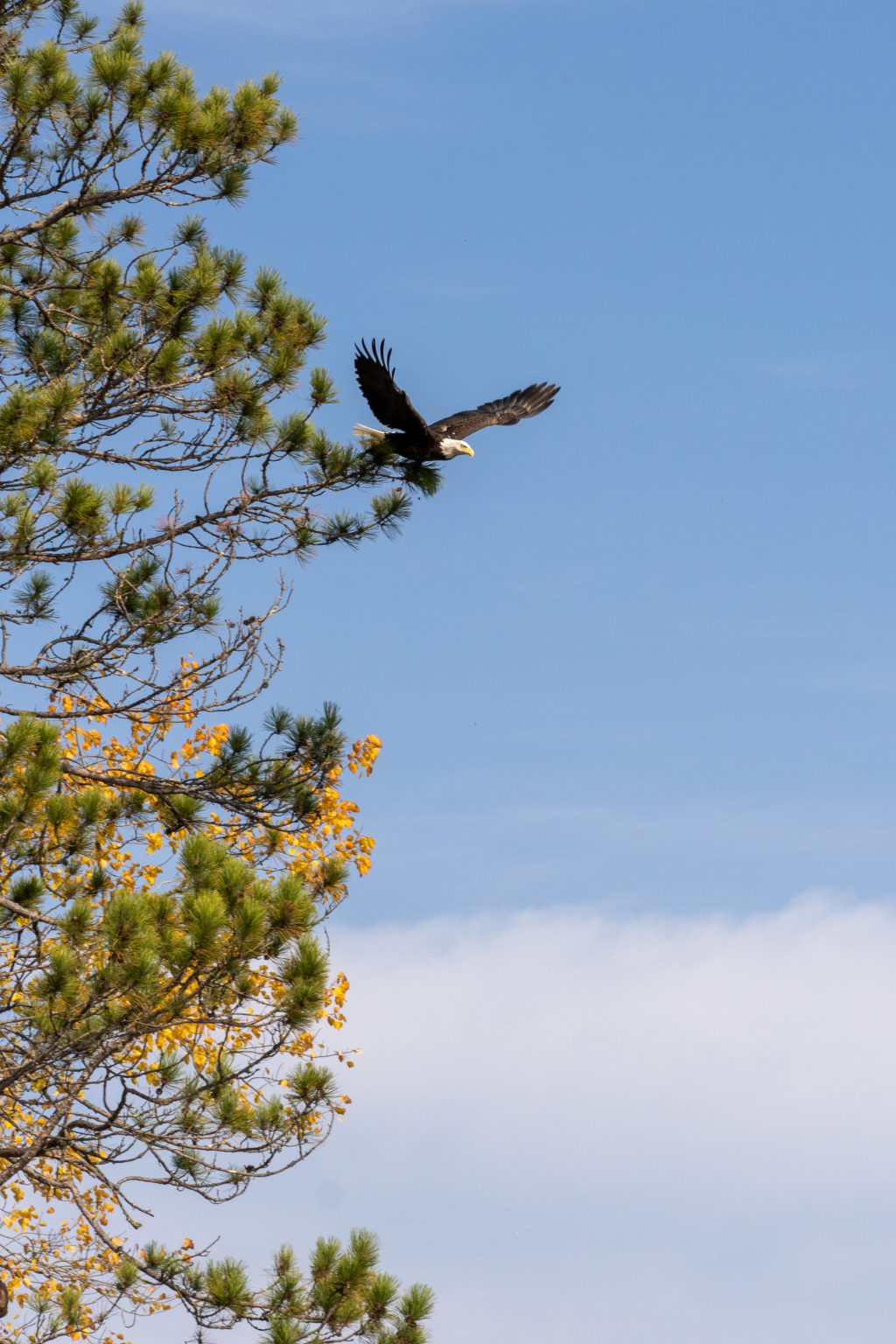 Chequamegon Bay Sea Caves and Balancing Rock – Apostle Islands Tours