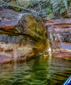 Houghton Point Sea Caves Kayak Tour