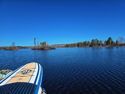 Sea Caves & Estuary Adventure – Assisted Boat & Kayak Tour - Image 8